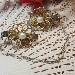 420 Hippie Clips